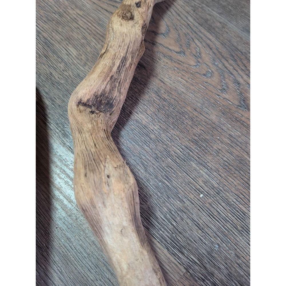 Driftwood So Cal CA Beach Ocean Wood Sculpture Art Crafts Garden Decor Lot Of 2 - Picture 5 of 15